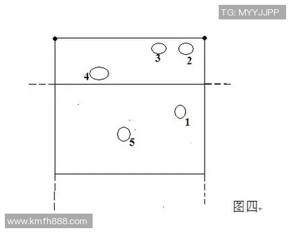 深圳排球队防反体系解析与战术创新探讨