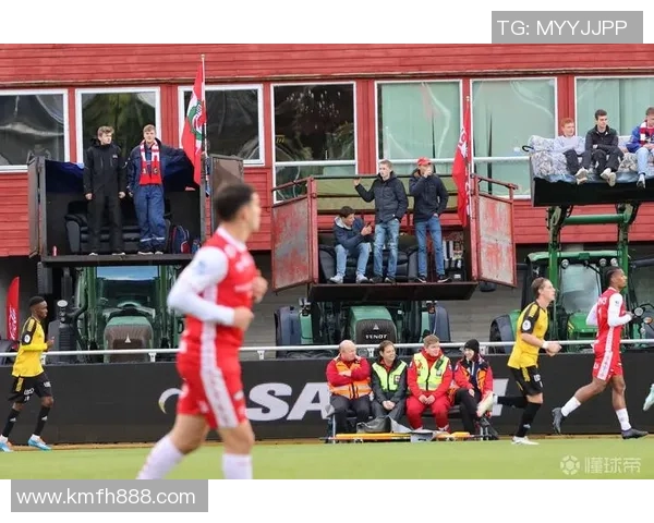 挪威足球历史上的璀璨明星们与他们的辉煌成就回顾 挪威足球历史上的璀璨明星们与他们的辉煌成就回顾